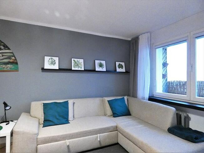 Duża kawalerka, pet friendly, ul. Sacharowa 67