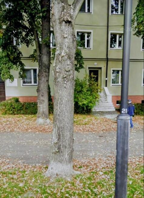 Gliwice, ul.A.Mickiewicza mieszkanie do wynajęcia 63 m, 1p