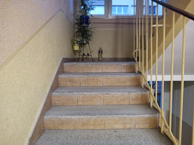 Wynajme mieszkanie 2 pokojowe w Legnicy