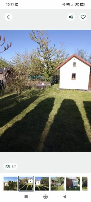 Ogródek działkowy rod Azalia