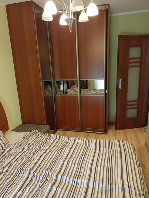 Mnieszkanie pod wynajem