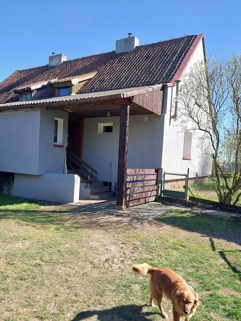 Pokój do wynajęcia