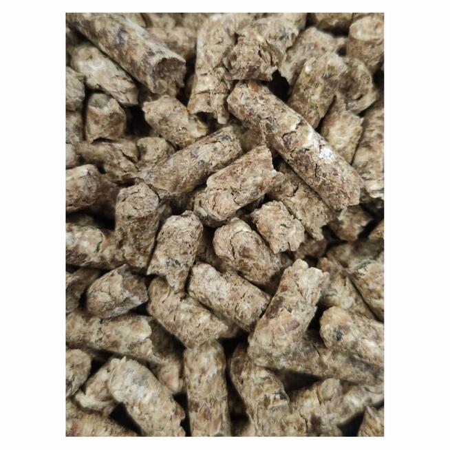 Sprzedam DDGS, Młóto browarne suche, Corn Gluten Feed