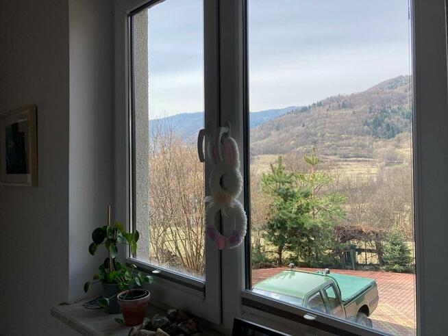 Wynajmę