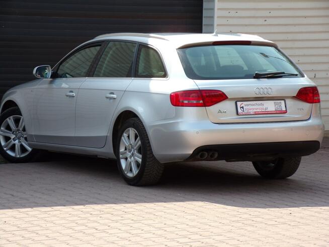 Audi A4 BI Xenon /Navi /Led /2,0 /143KM /