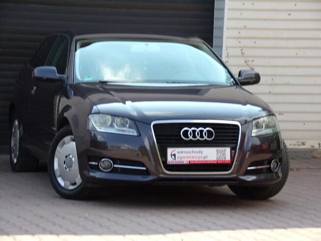 Audi A3 Klimatronic /I Właść /1,4 /125KM /2011 /Lift