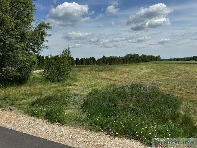 Duża działka z potencjałem 8690m2