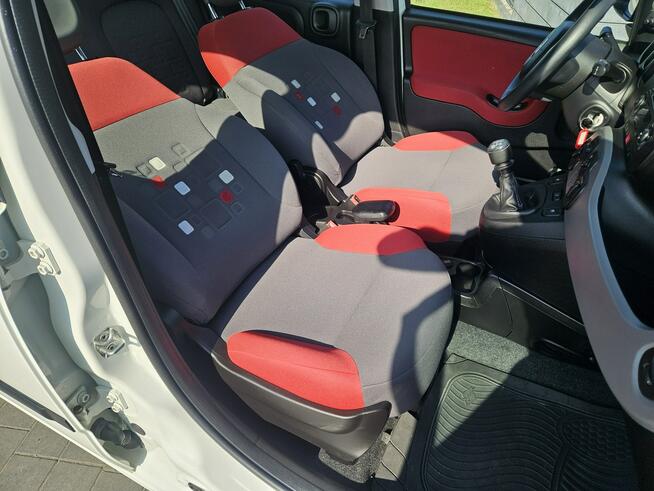 Fiat Panda Polski salon, Bezwypadkowy