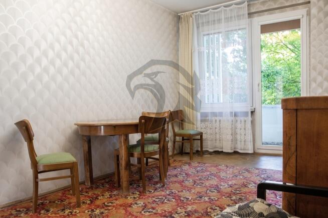 Tynkarz, malarz, akrobata poszukiwany!