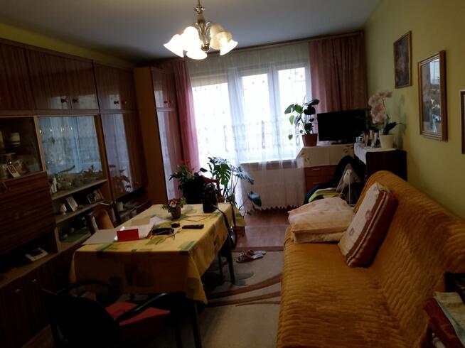 Sprzedam mieszkanie w bloku 2 pokoje 48m2.