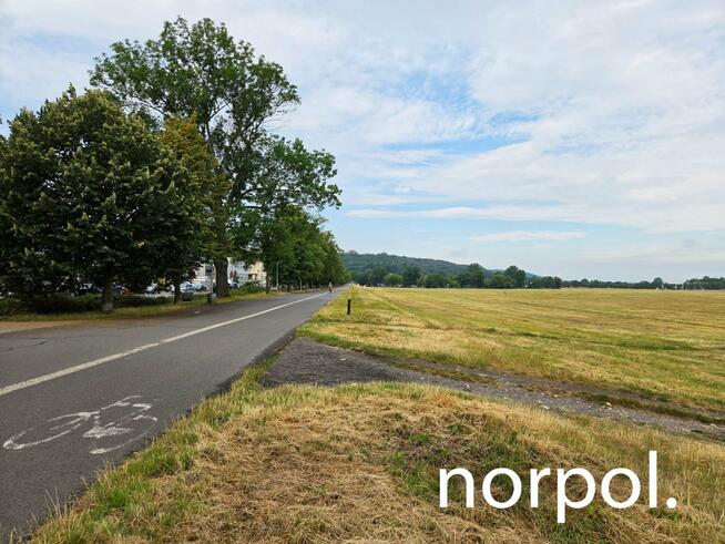 Lokal 75 m² na wynajem przy Błoniach – prestiż, ruch i świetna lokalizacja.