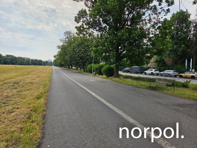 Lokal 75 m² na wynajem przy Błoniach – prestiż, ruch i świetna lokalizacja.