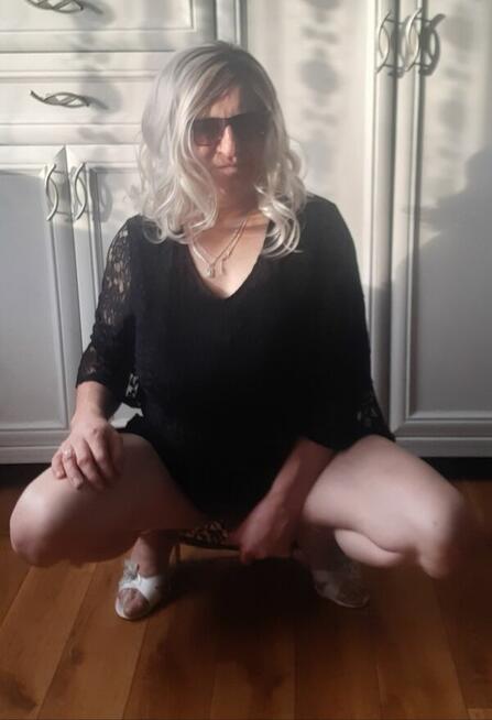 Szuka pana tv dama