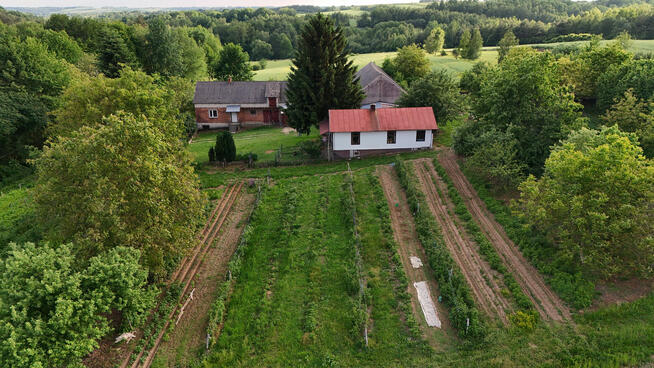 Marzysz o ucieczce z miasta? 2,8 ha, własny las i dom w polu