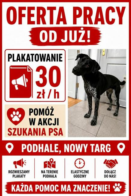 Praca przy plakatowaniu na Podhalu