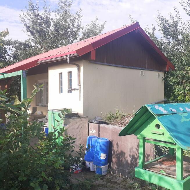 Działka ROD ZORZA w Ziemnicach k/Legnicy (PILNE)