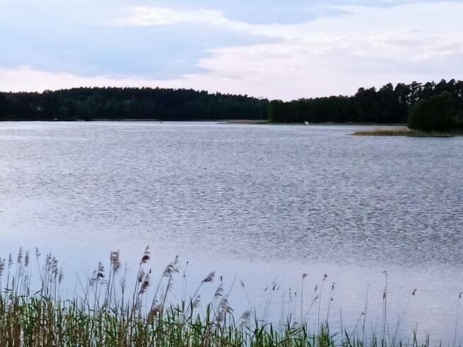 Działka nad jeziorem.