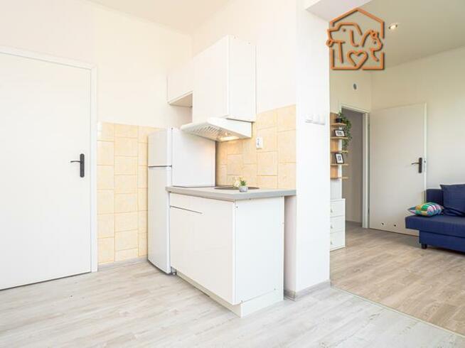 2 pokoje, pet-friendly - Chodkiewicza 30