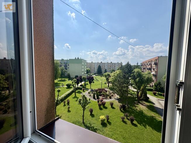 Mieszkanie Oświęcim, 11-go Listopada