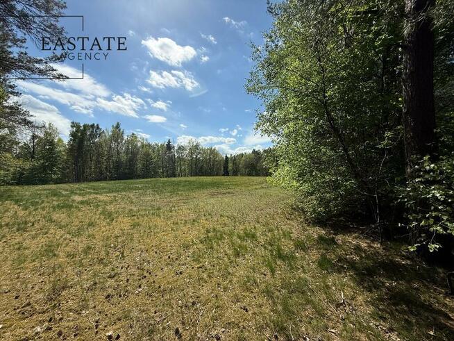 Działka w otulinie lasów | Trzy Rzeki, Kaszuby |