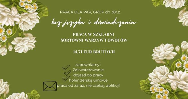 praca za granicą, wysokie zarobki