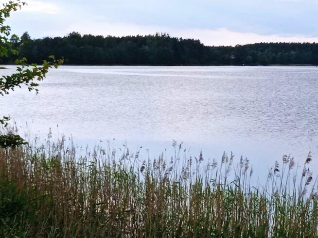 Działka nad jeziorem.