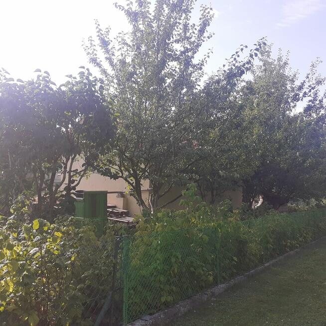 Działka ROD ZORZA w Ziemnicach k/Legnicy (PILNE)