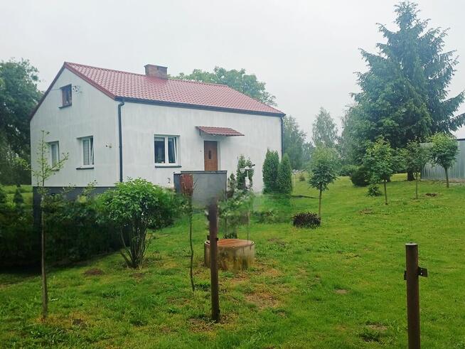 Siedlisko 1,78 ha w Witoszynie