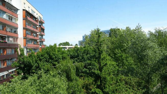 Sprzedam mieszkanie 48m2 Podolszyce Pn - idealna okolica