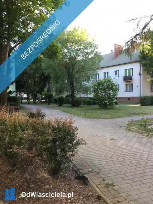 Mieszkanie w zieleni w centrum
