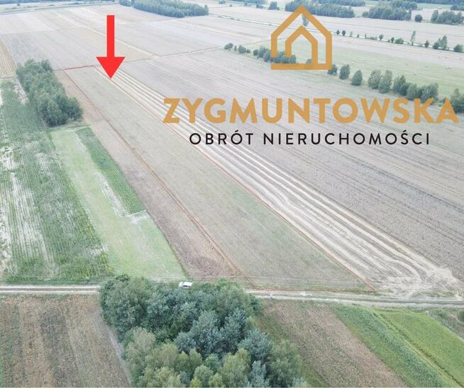 Działka rolna Białaczów Białaczów