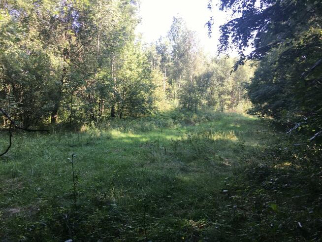 Piękna działka widokowa w Cierchach .bezpośrednio.
