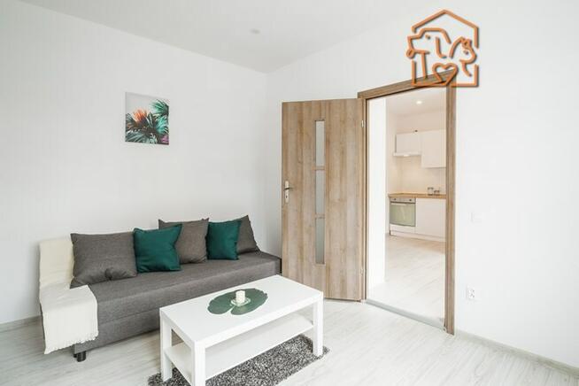 Kawalerka, pet-friendly - Dworcowa 5