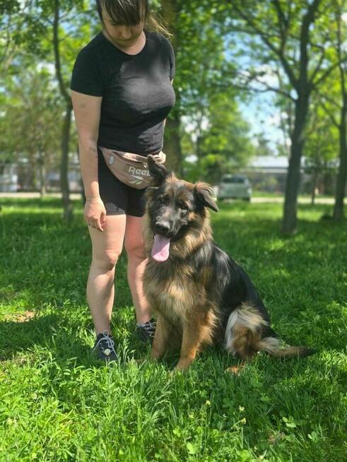 Aida-suczka w typie czeka na dom znający specyfikę rasy