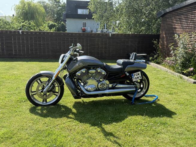 HARLEY-DAVIDSON V-ROD MUSCLE VRSCF