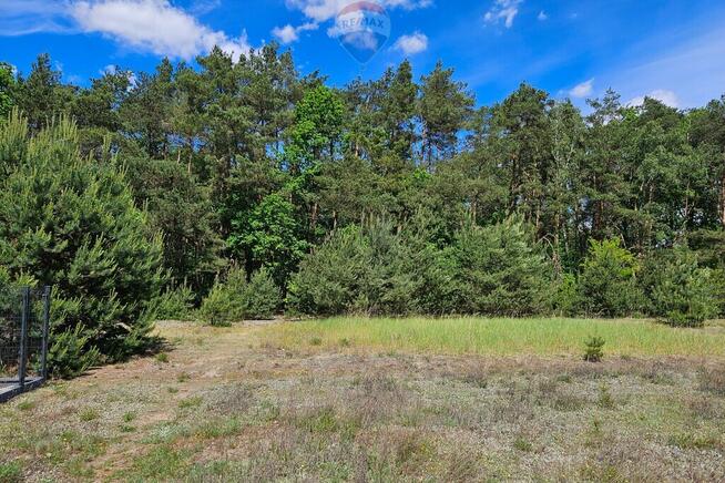 Działka budowlana 2630m2 z lasem