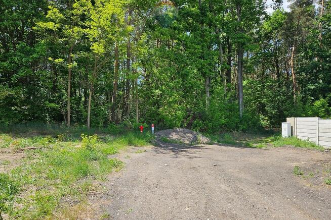 Działka budowlana 2630m2 z lasem