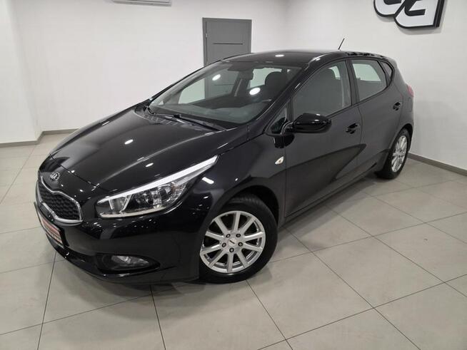 Kia Cee'd 1.6 / Bezwypadkowy/Serwisowany/Gwarancja roczna w cenie