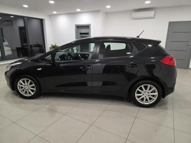 Kia Cee'd 1.6 / Bezwypadkowy/Serwisowany/Gwarancja roczna w cenie