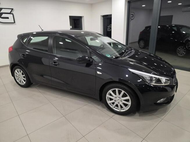 Kia Cee'd 1.6 / Bezwypadkowy/Serwisowany/Gwarancja roczna w cenie