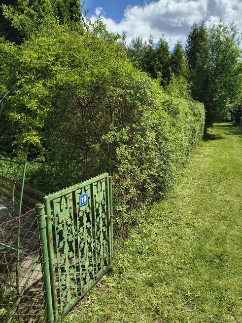 Działka ROD 705m2 Narutowicza