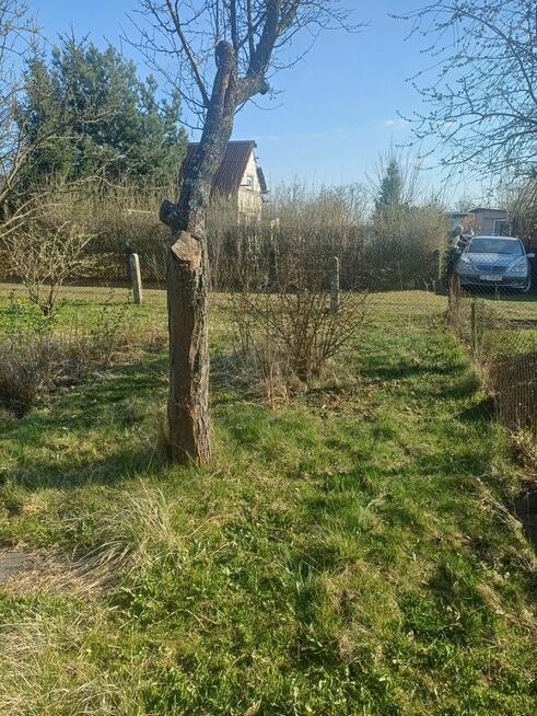 Działka ROD Ustronie 302m2