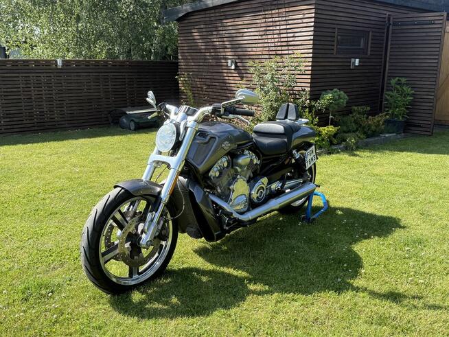 HARLEY-DAVIDSON V-ROD MUSCLE VRSCF
