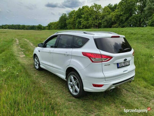 Ford Kuga MK2 diesel 2.0 TDCi 163 konie