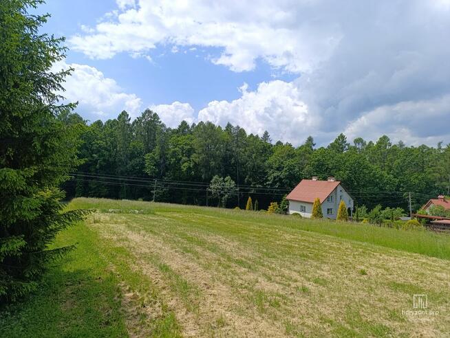 Działka budowlana - DYBAWKA 12,5a - warunki zabudowy