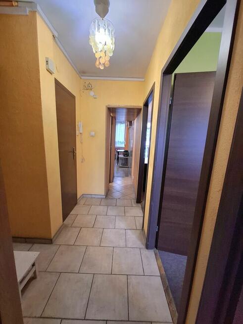 3 pokoje koło Placu Dominikańskiego