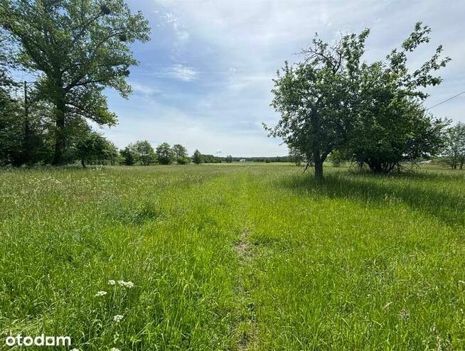 Rezerwacja/Siedlisko pod lasem, 4,81 ha, Puszcza Biała