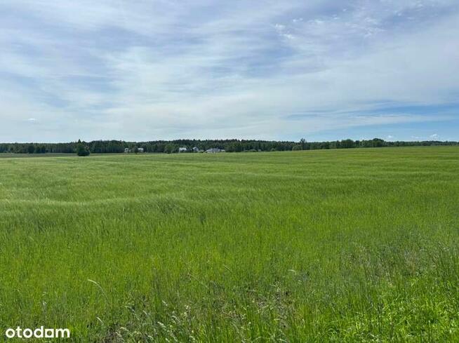 Rezerwacja/Siedlisko pod lasem, 4,81 ha, Puszcza Biała