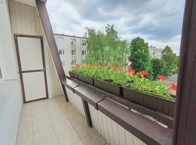 Mieszkanie Kielce Centrum, Prosta