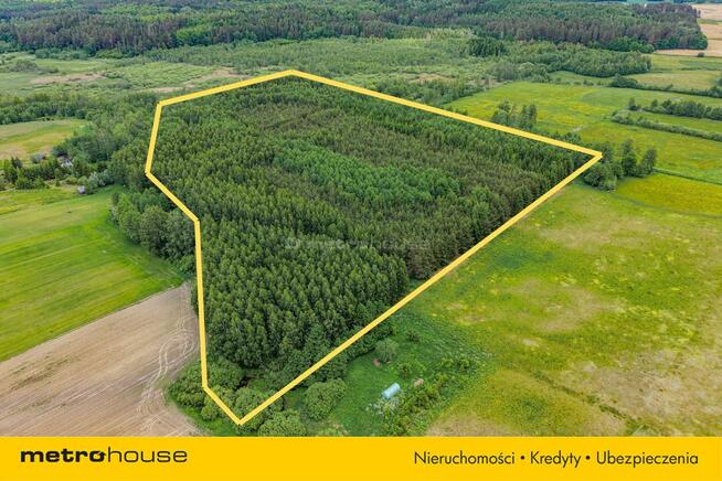 Las inwestycyjny 9,5 ha 770 m³ drewna